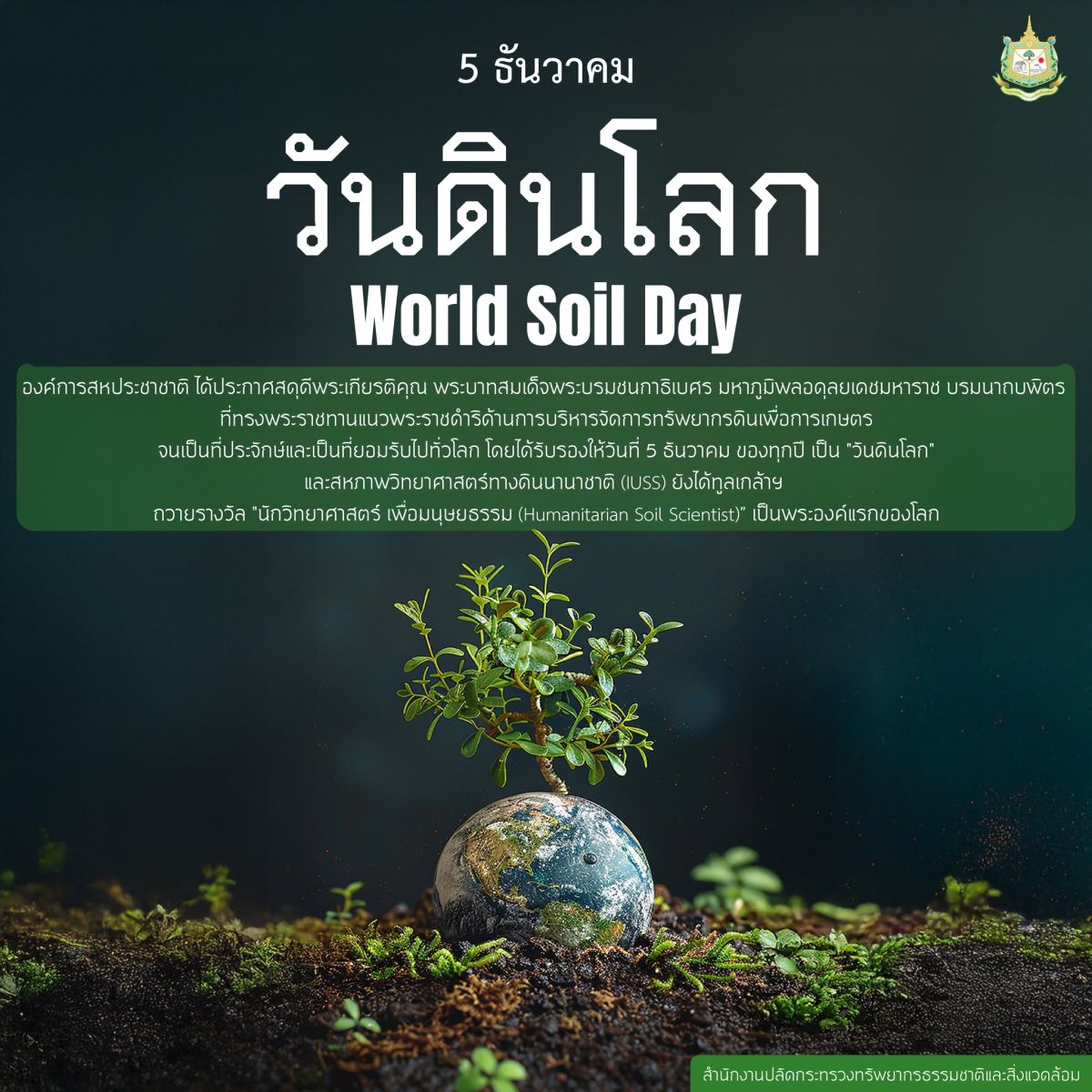 เทศบาลตำบลไผ่กองดิน